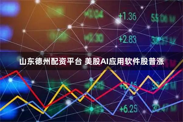 山东德州配资平台 美股AI应用软件股普涨
