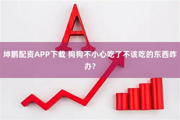 坤鹏配资APP下载 狗狗不小心吃了不该吃的东西咋办?