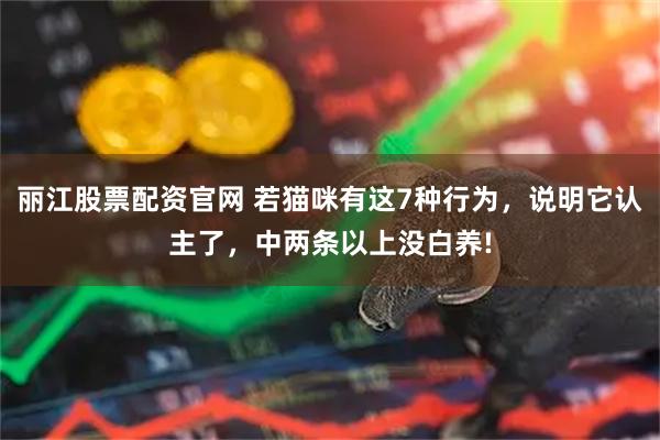 丽江股票配资官网 若猫咪有这7种行为，说明它认主了，中两条以上没白养!