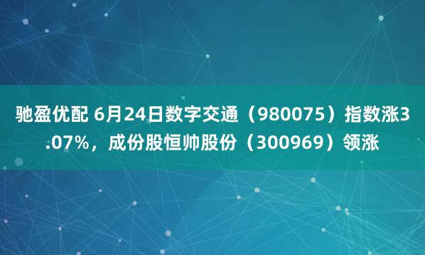 驰盈优配 6月24日数字交通（980075）指数涨3.07%，成份股恒帅股份（300969）领涨