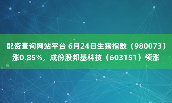配资查询网站平台 6月24日生猪指数（980073）涨0.85%，成份股邦基科技（603151）领涨
