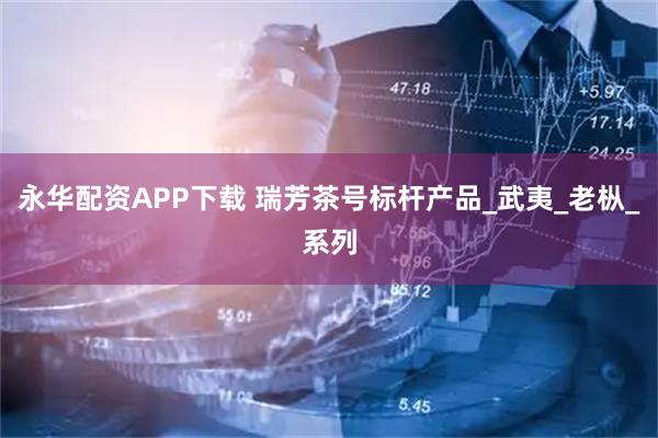 永华配资APP下载 瑞芳茶号标杆产品_武夷_老枞_系列